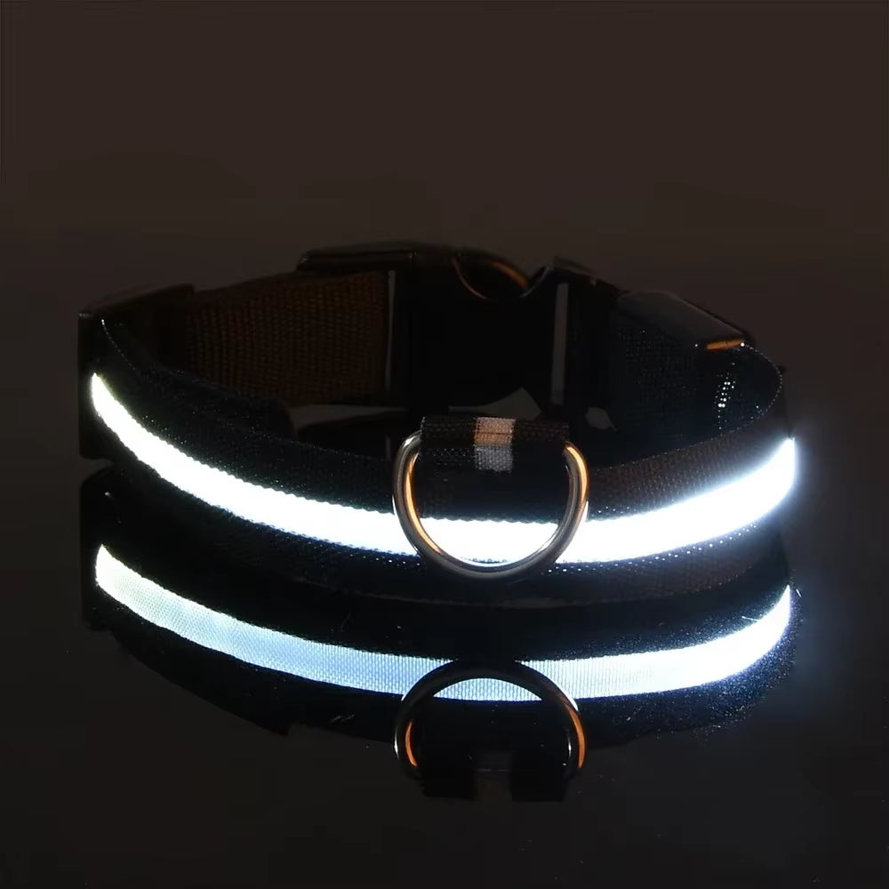 Illuminate Your Dog's Safety: LED Nylon Glow-in-the-Dark Collar & Leash Set