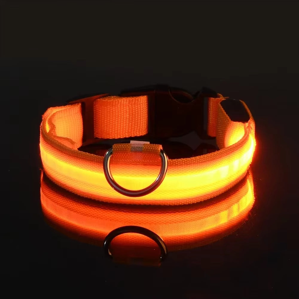 Illuminate Your Dog's Safety: LED Nylon Glow-in-the-Dark Collar & Leash Set