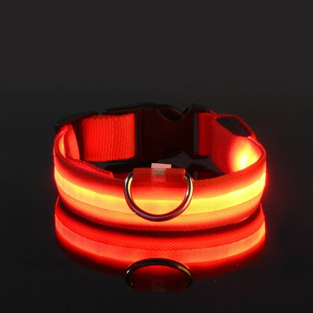 Illuminate Your Dog's Safety: LED Nylon Glow-in-the-Dark Collar & Leash Set