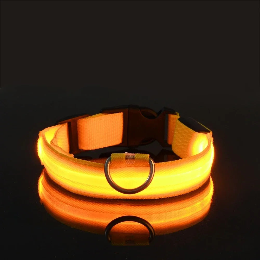 Illuminate Your Dog's Safety: LED Nylon Glow-in-the-Dark Collar & Leash Set