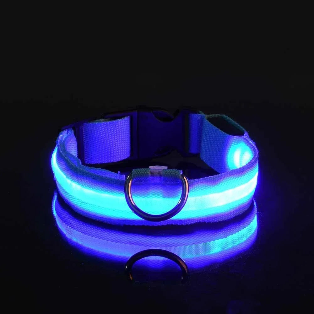 Illuminate Your Dog's Safety: LED Nylon Glow-in-the-Dark Collar & Leash Set
