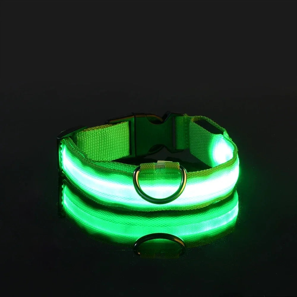 Illuminate Your Dog's Safety: LED Nylon Glow-in-the-Dark Collar & Leash Set