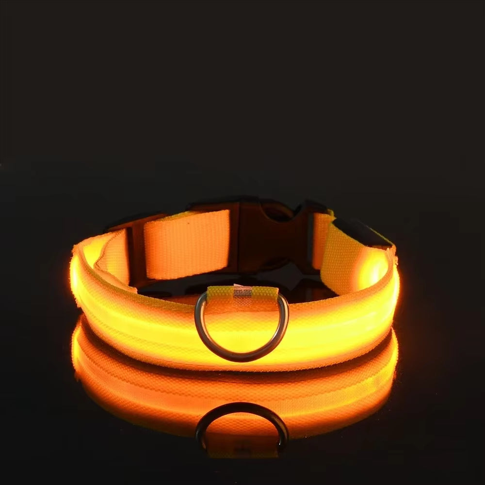 Illuminate Your Dog's Safety: LED Nylon Glow-in-the-Dark Collar & Leash Set