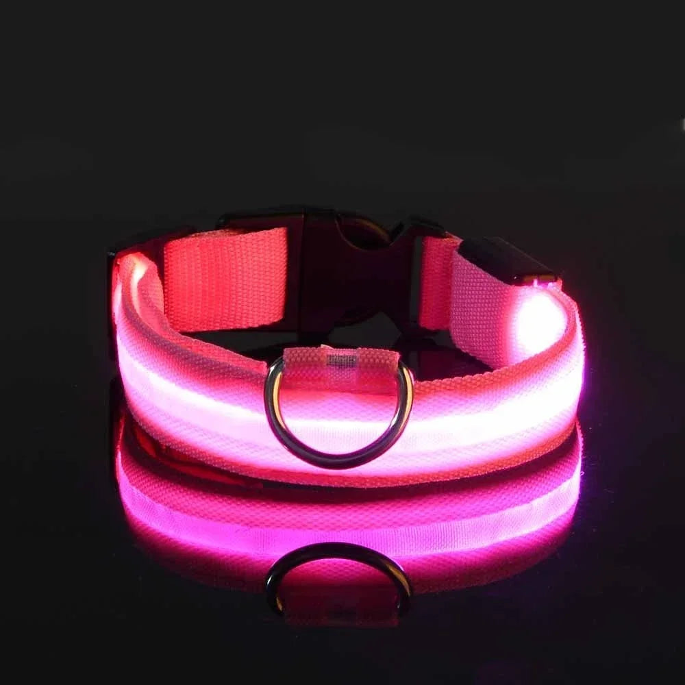 Illuminate Your Dog's Safety: LED Nylon Glow-in-the-Dark Collar & Leash Set
